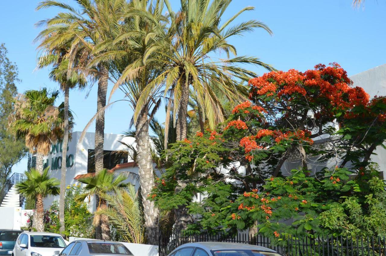 Ocean Loft Maspalomas (Gran Canaria) Exterior foto